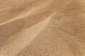 Image showing grain wheat .   heap 