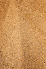 Image showing grain wheat .   heap 