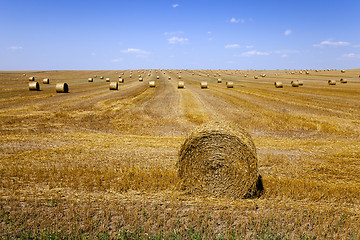 Image showing haystacks straw . summer