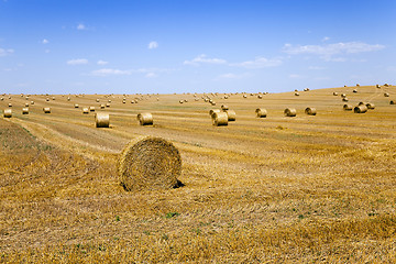 Image showing haystacks straw  . summer