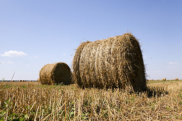 Image showing haystacks straw . summer