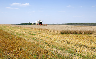 Image showing Harvester in the field 