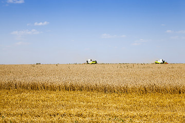 Image showing  Harvester in the field