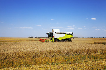 Image showing    harvest of cereals