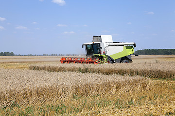Image showing Harvester in the field 