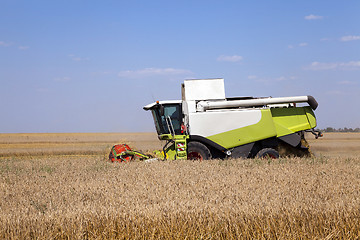 Image showing Harvester in the field 