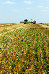 Image showing Harvester in the field  