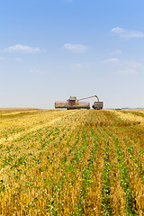 Image showing Harvester in the field  