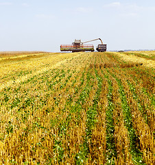 Image showing Harvester in the field  