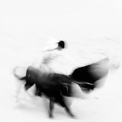 Image showing Bullfigting in bullring Las Ventas, Madrid, Spain.