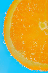 Image showing Fresh orange slice 