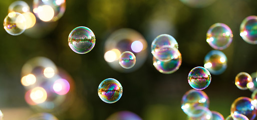 Image showing Soap bubbles