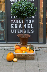 Image showing a basket full of pumkins on the street