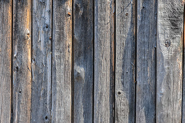 Image showing gray aged wooden boards background