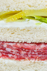 Image showing carpaccio raw meat sandwich