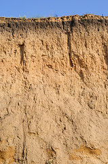 Image showing Cut of soil layers visible and grass on top