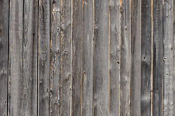 Image showing gray aged wooden boards background