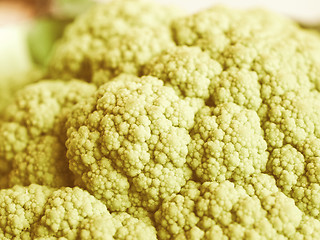 Image showing Retro looking Cauliflower