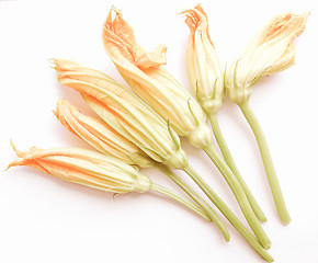 Image showing Retro looking Courgette Zucchini flowers