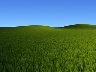 Image showing grass fields