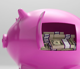 Image showing Notes In Piggy Shows Savings And Investment