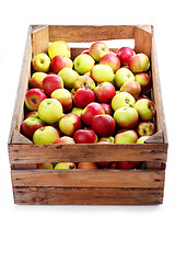 Image showing red apples