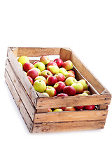 Image showing red apples