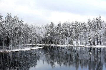 Image showing Magic Winter Lake 