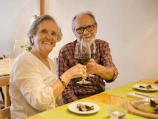 Image showing Old couple toasting 