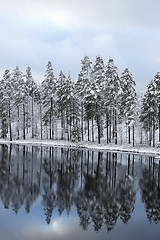 Image showing Blue Winter Lake Reflections