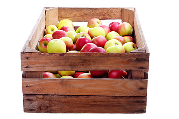 Image showing red apples