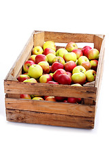 Image showing red apples