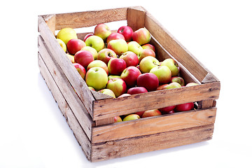 Image showing red apples