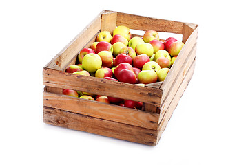 Image showing red apples