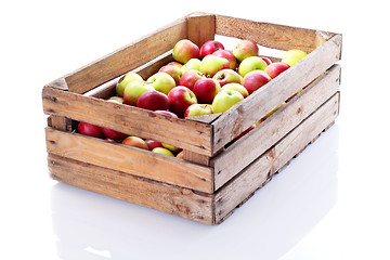 Image showing red apples