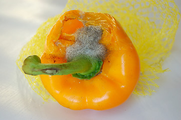 Image showing decay,rotten pepper