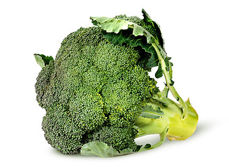 Image showing Big broccoli florets with leaves rotated