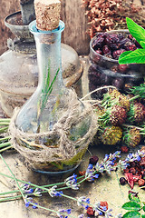 Image showing Still life with harvest medicinal herbs