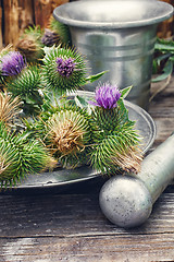 Image showing Still life with harvest medicinal herbs