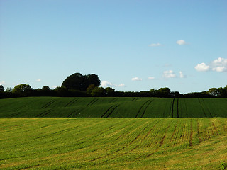 Image showing rolling field