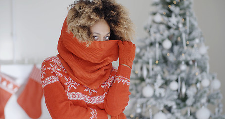 Image showing Fashionable young woman at Christmas