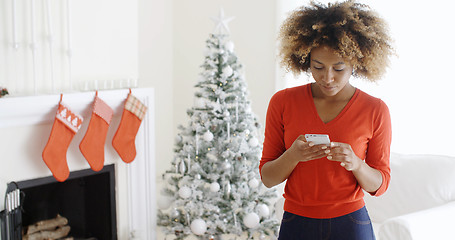 Image showing Young woman checking her Christmas messages