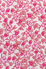 Image showing Fabric with floral patter