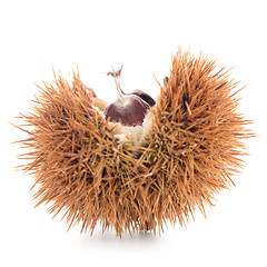 Image showing Chestnuts with shell 