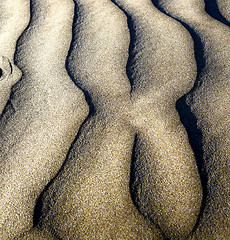 Image showing of a  dry sand and the beach lanzarote spain