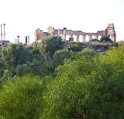 Image showing volubilis in morocco africa the old roman deteriorated monument 