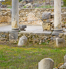 Image showing volubilis in morocco africa the old roman deteriorated monument 