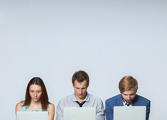 Image showing The business team working on laptops in the office