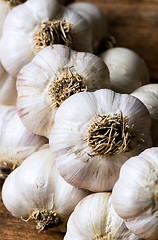 Image showing Bunch of garlic