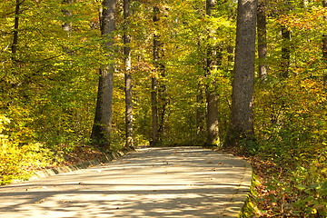 Image showing park alley in fall season